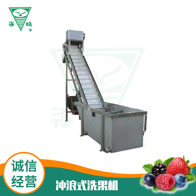 沖浪式洗果機(jī)