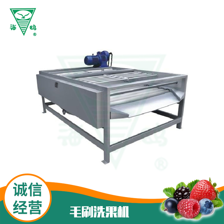 毛刷洗果機(jī)