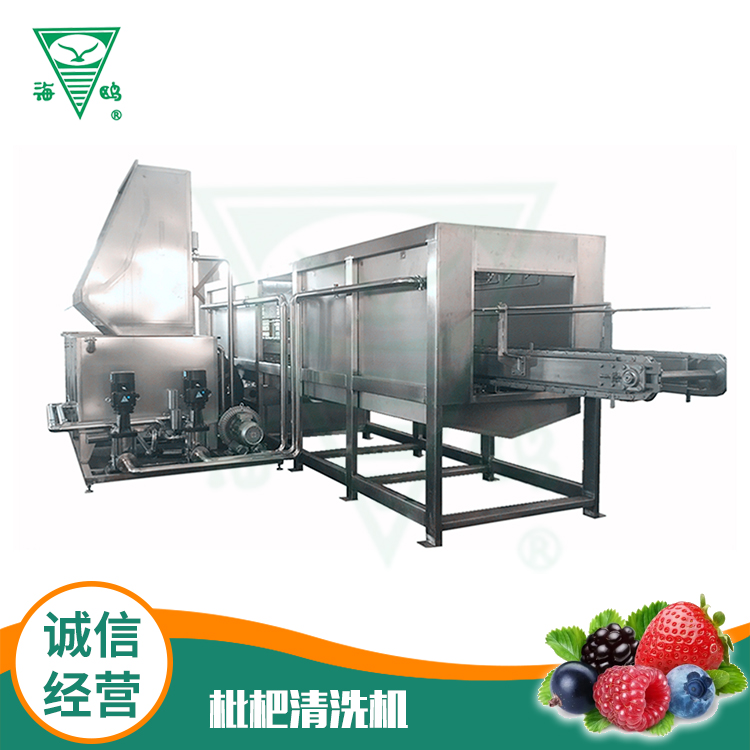 枇杷清洗機(jī)